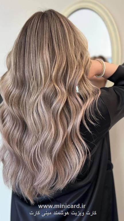 کارت ویزیت هوشمند مینی کارت