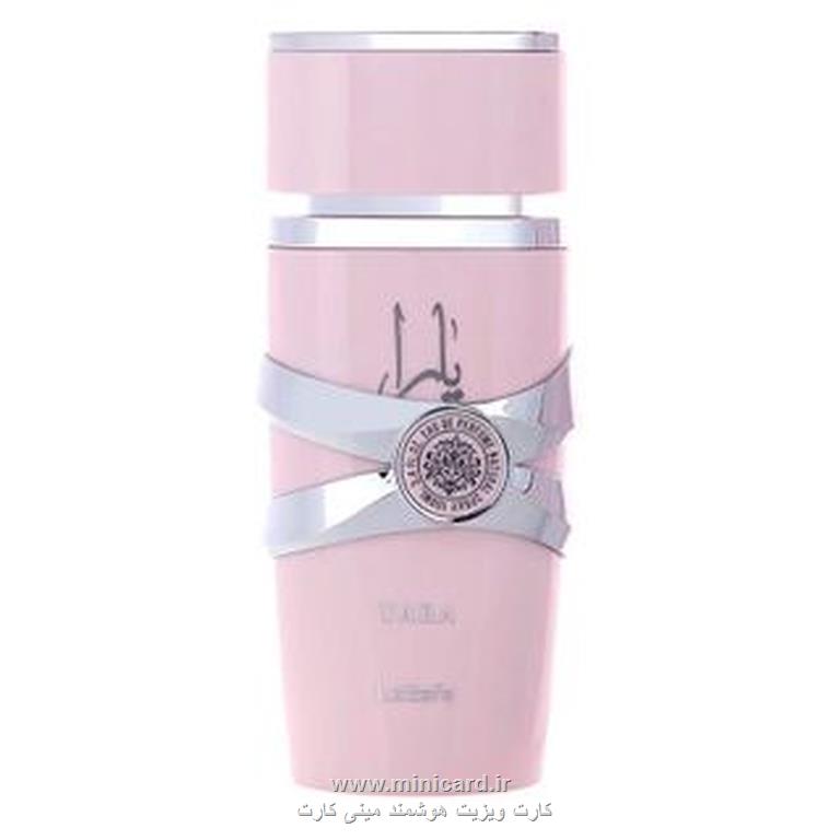 عطر سوفیا