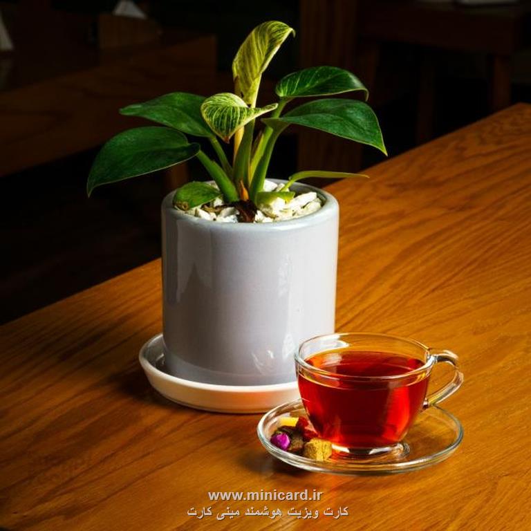 کافیه نیکس مشهد