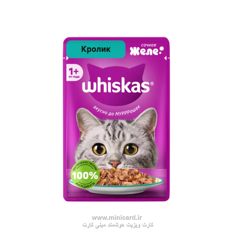 پت شاپ فوکا